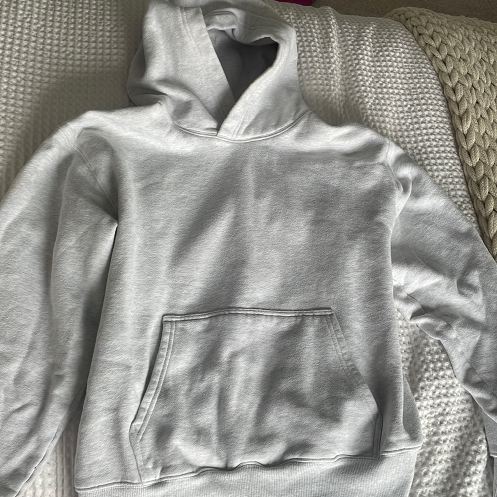aritzia hoodie